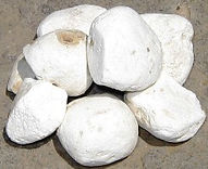 Pommes de terre déshydratées blanches